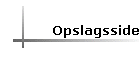 Opslagsside