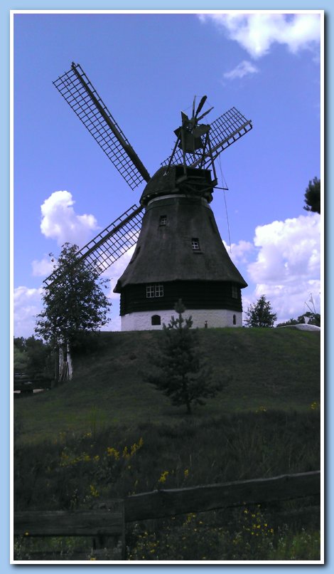 IMAG0062